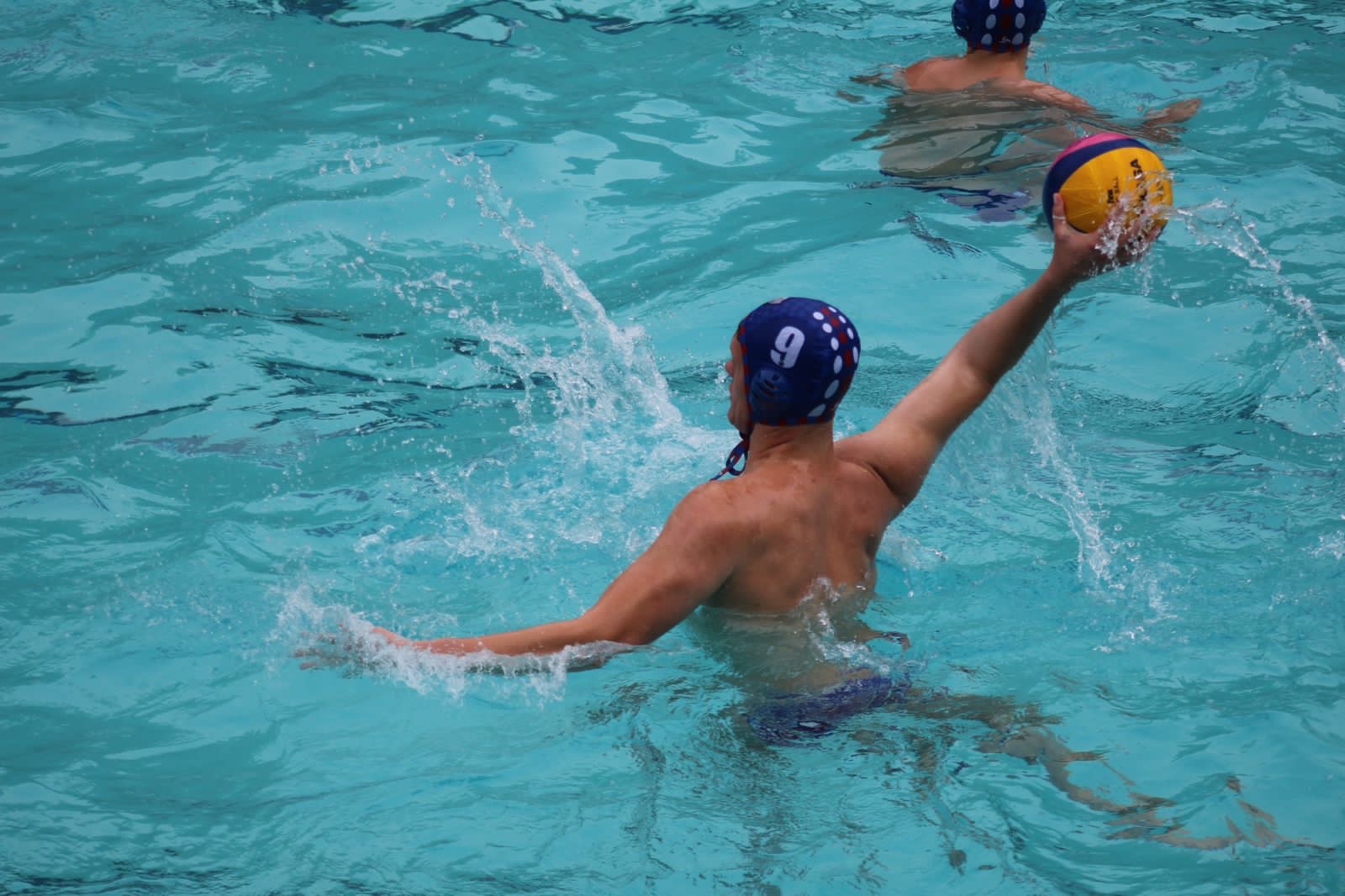 Cole Taylor BRUSA Sports cole-taylor-brusa-sports